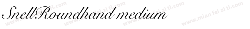 SnellRoundhand medium字体转换